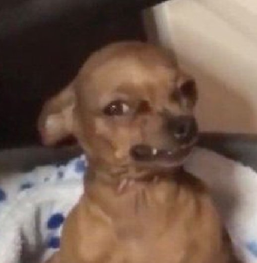 Segzzy🪙 tweet media