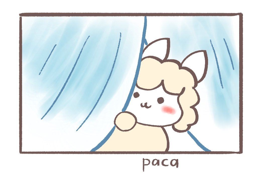 せる🦙 tweet media