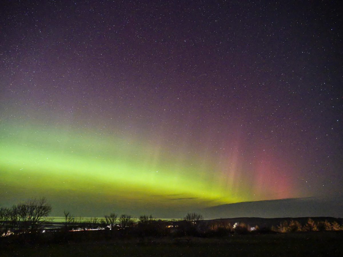 Lizzy Lou tweet media