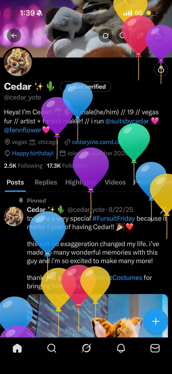 Cedar ✨🌵 tweet media