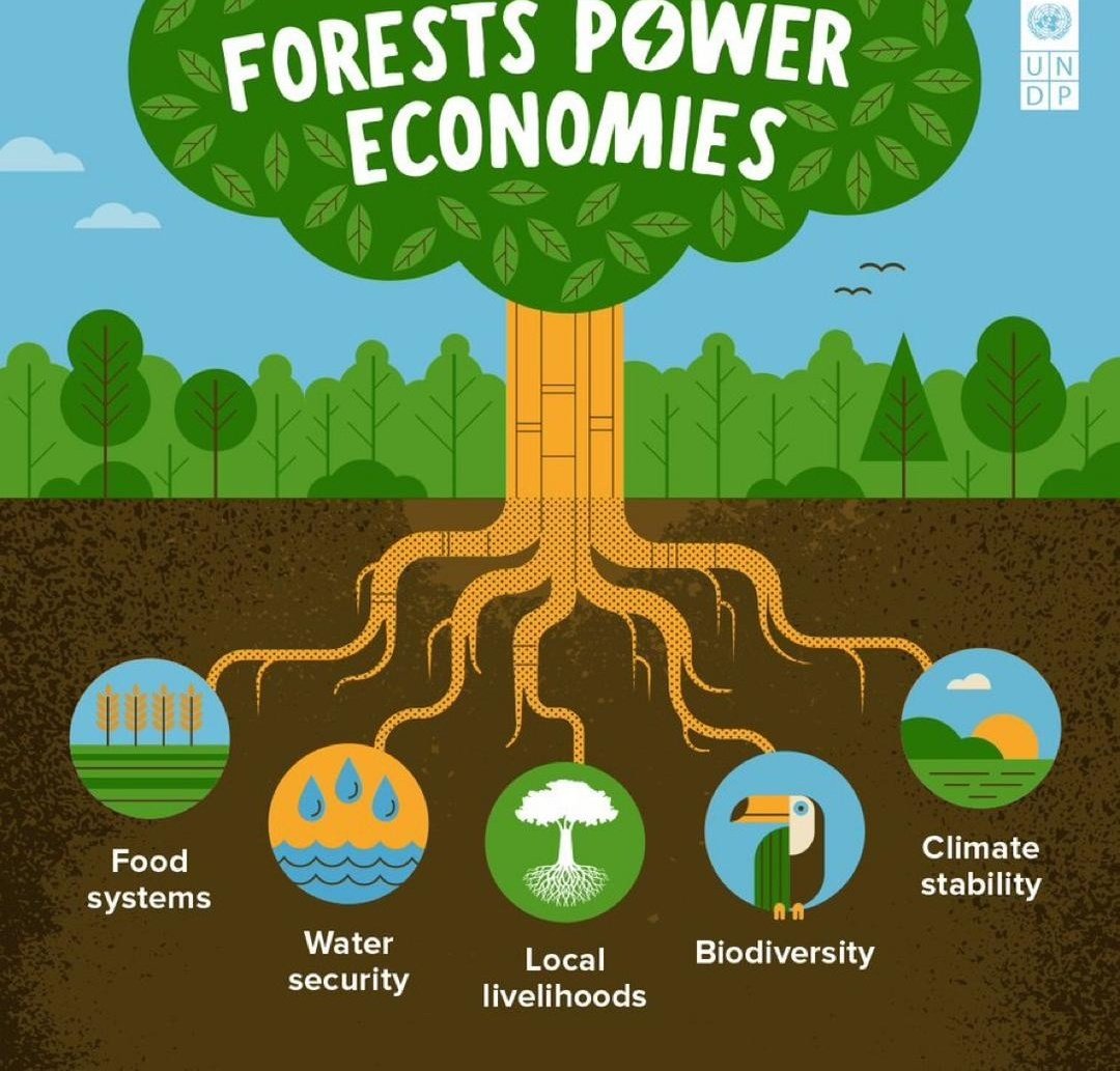 Amazing Life Safaris tweet media