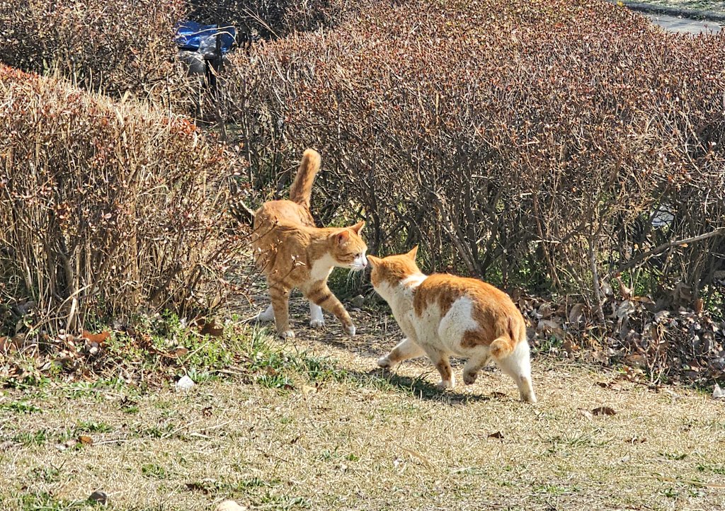 쁘리🐧 tweet media