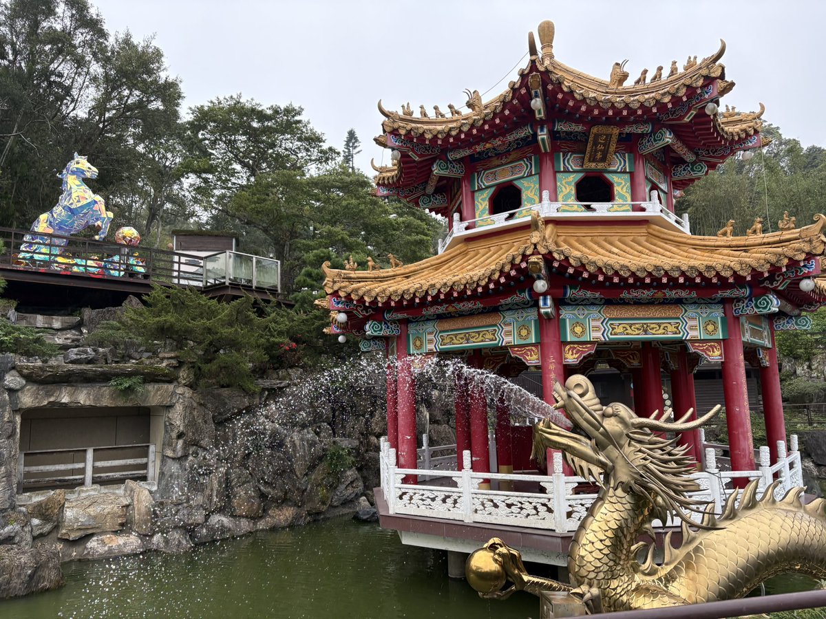 しーどら tweet media