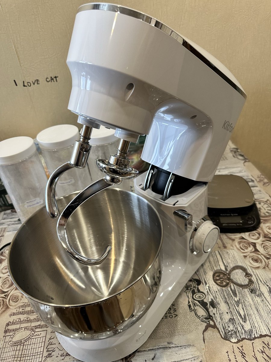 Лошадь Пржевальского tweet media