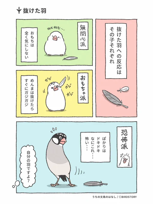 わが家の文鳥たちは、換羽がはじまりました。

抜けた羽への反応は、それぞれで面白いです。
みなさんの愛鳥さんはどうですか?🐣✨

#BIRDSTORY #うちの文鳥のはなし #漫画が読めるハッシュタグ 