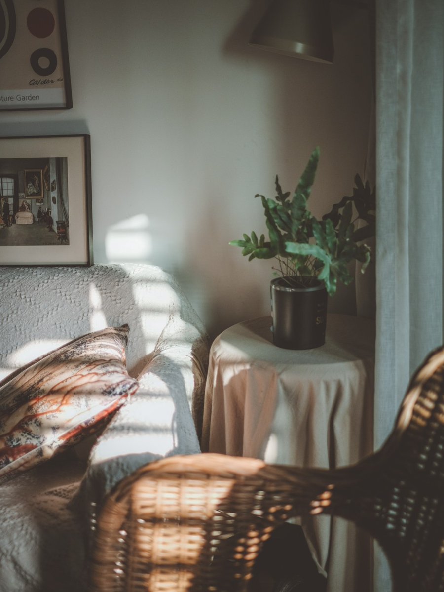 jonatas pires tweet media