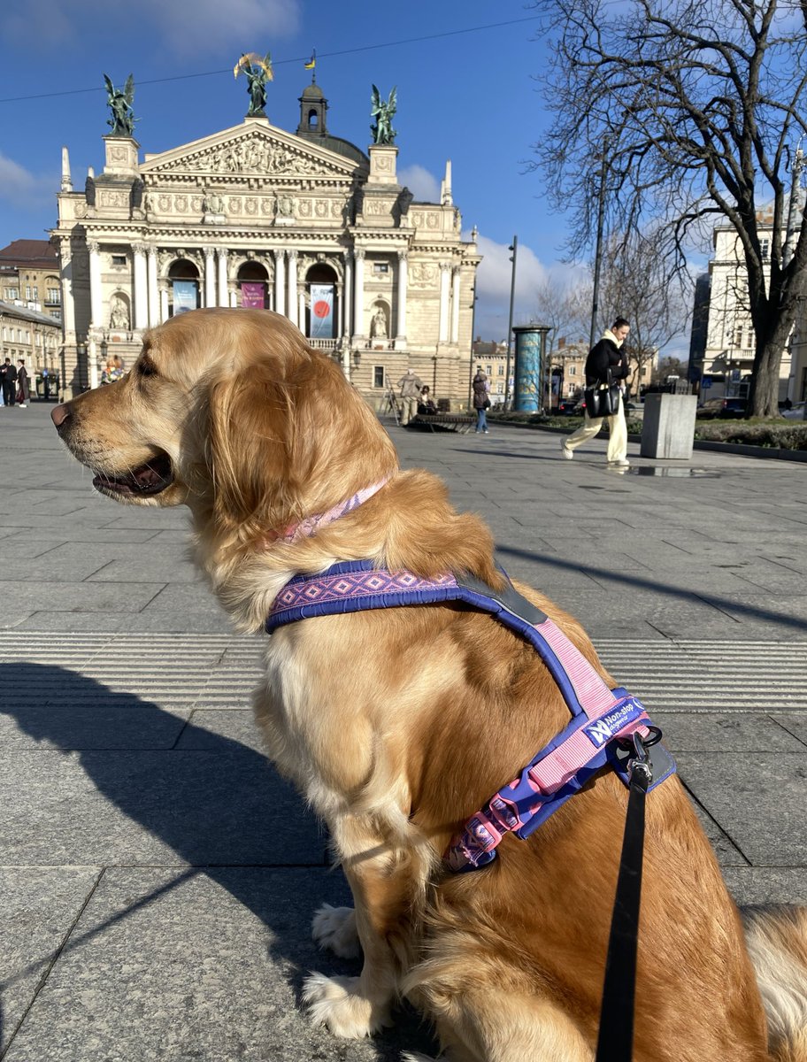 прокинулась від пари очей, які дивляться на мене з осудом 👀 аргумент, що «субота, 8 ранку. мовляв, давай ще полежимо ти в своїй лежанці, я — в своїй, а потім випʼємо кави» не працює💁🏼‍♀️