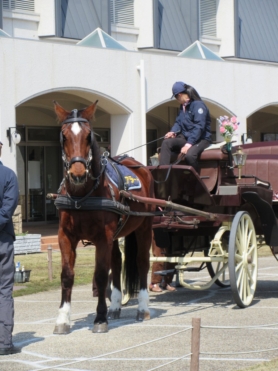 三木ホースランドパーク tweet media