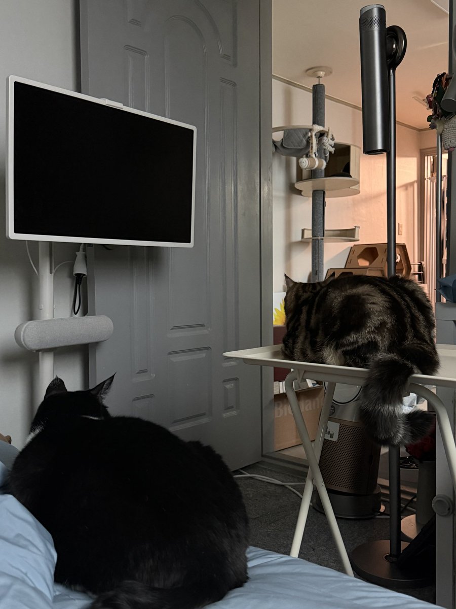 신성호 tweet media