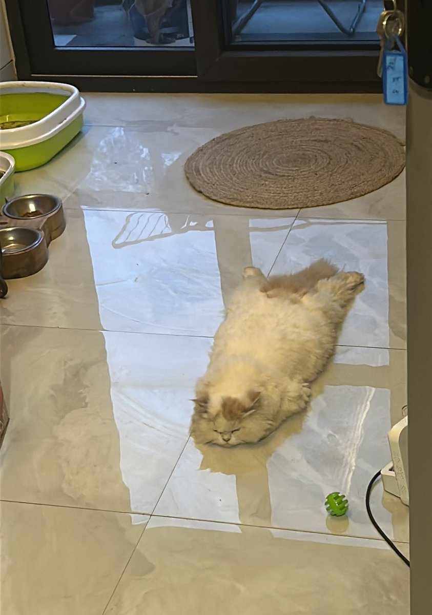 simran sachdeva tweet media