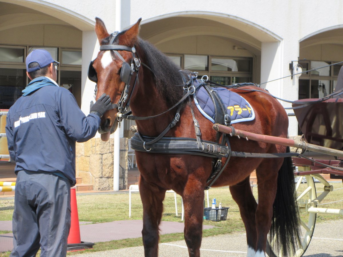三木ホースランドパーク tweet media