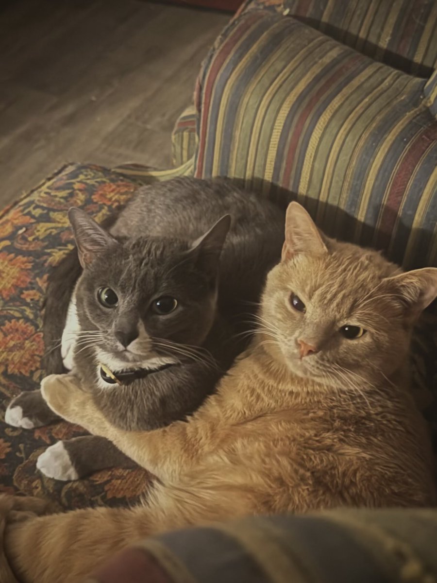 Jacob Hates Tyrants tweet media