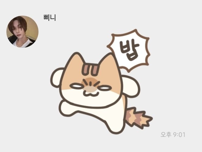 33in__S2's tweet photo. 밥내놓으라고협박하는삔냥이 https://t.co/Hemkv9Gf1Q