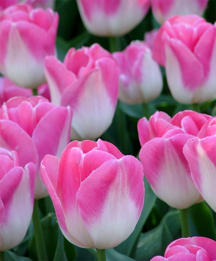 Jim Beattie tweet media