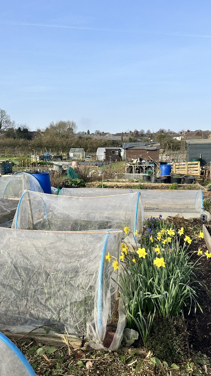 Paul Williams🌱 tweet media