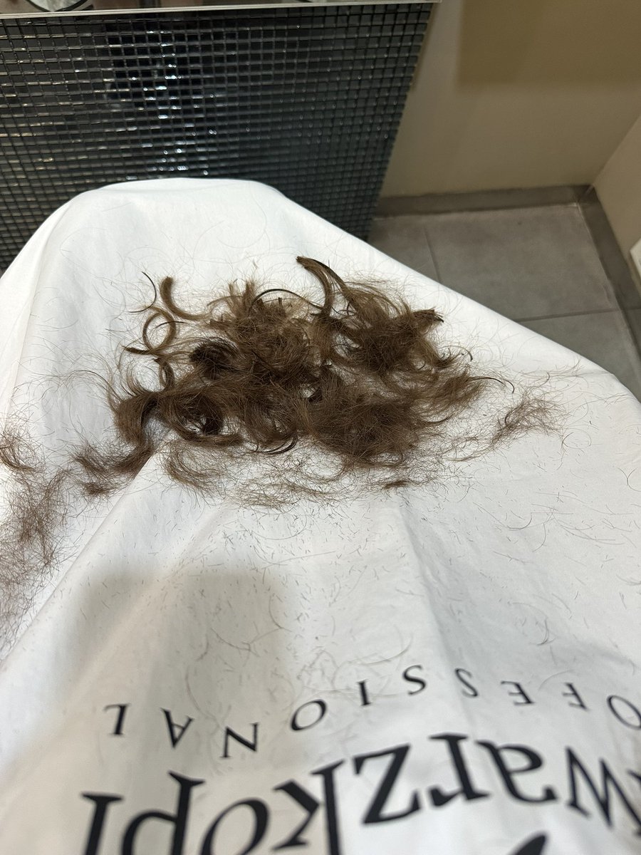 Fernanda Ene tweet media