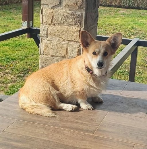 Silver🔆❕️ tweet media