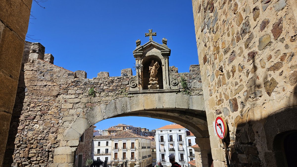 David Brecha ॐ tweet media