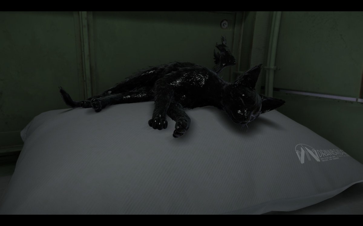 TheBlindGunner tweet media