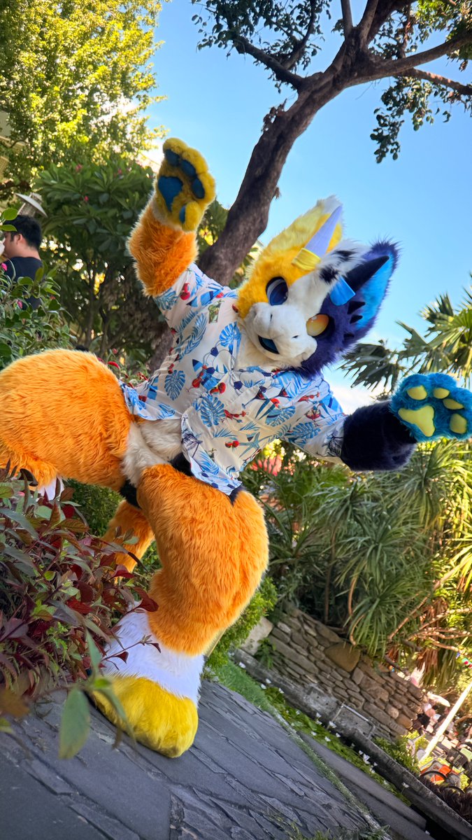 Piccolo 🔜 Furrymosa2026 tweet media