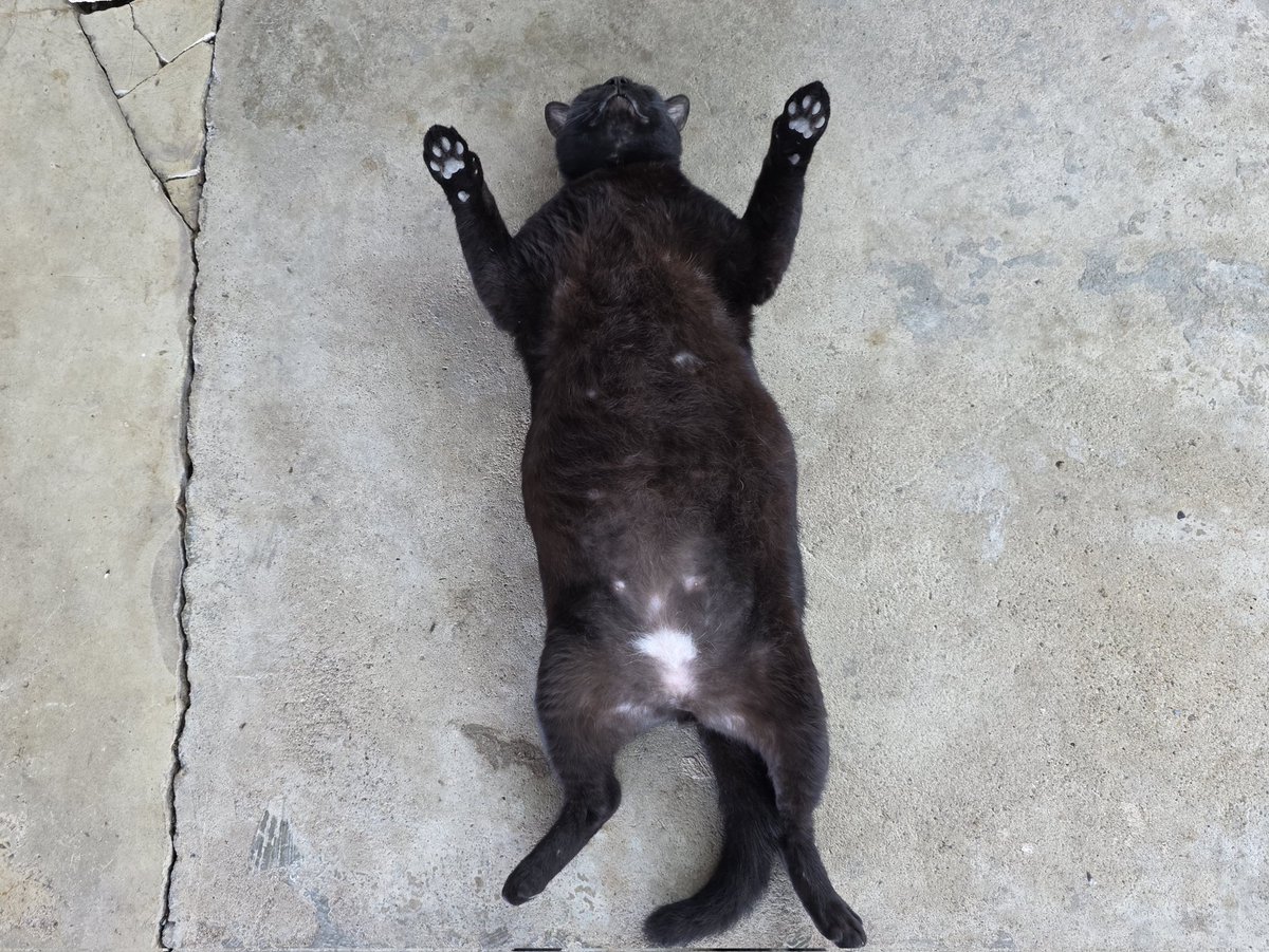 ดำรง: "ช่วงน้ำมันขาดแคลน ผมต้องออกหาปูเลี้ยงชีพ แต่วันนี้ยังหาไม่ได้เลย ผมขอกลับไปพักสักงีบนะครับ"
#ดำรง