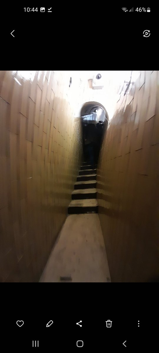 💙💛Patricia Furstenberg 🏰#WhenSecretsBloom❄️🌲 tweet media