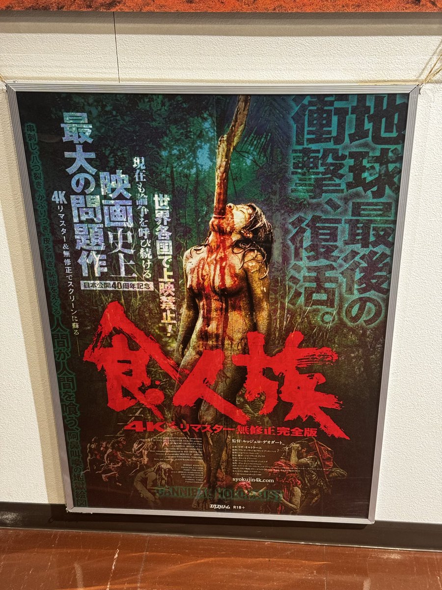 JACKSON kaki tweet media