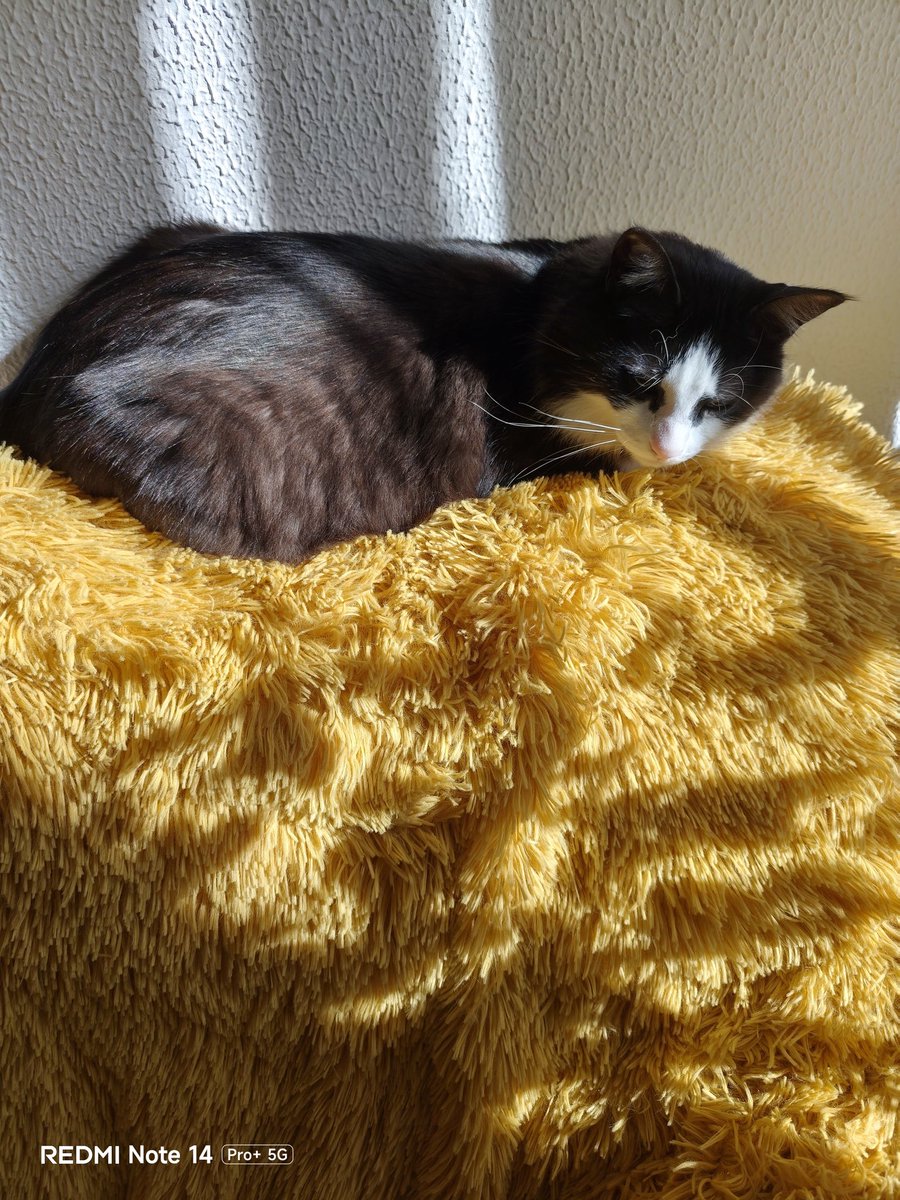 Capo cantiere 🇮🇹 tweet media