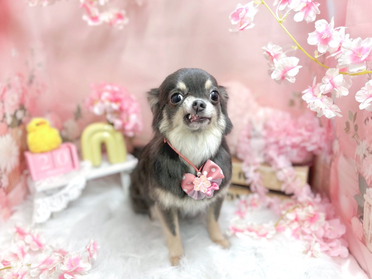 ぼ み 🌙 tweet media