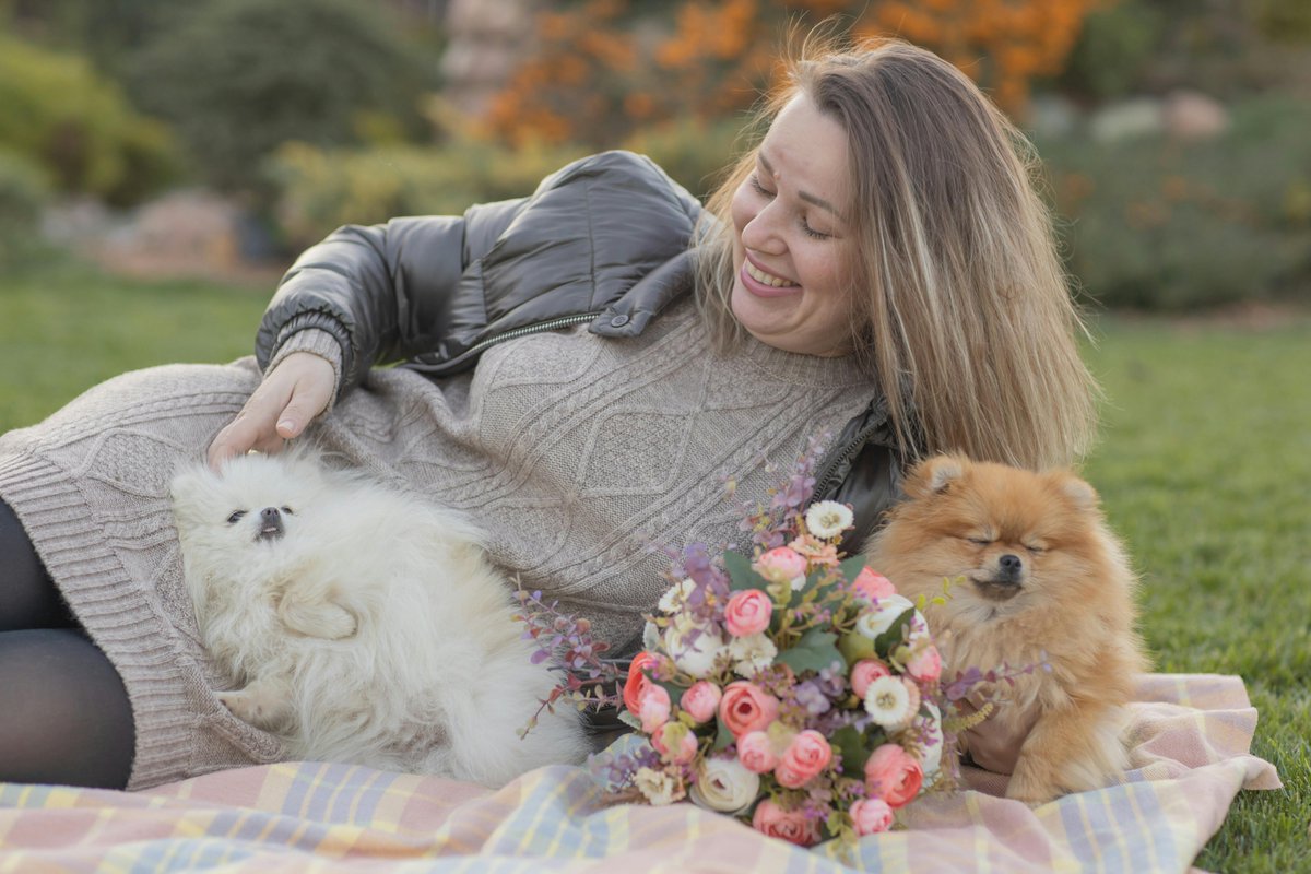 kninepets's tweet image. Comfort dogs share calm and caring support. 🐶💛 With gentle care and consistent routines, they help ease stress and bring comfort.

kninepets.com

#ComfortDog #TherapyDog #EmotionalSupport #SupportAnimal #DogCare #CalmCompanion #DogLovers #StressRelief #AnimalTherapy