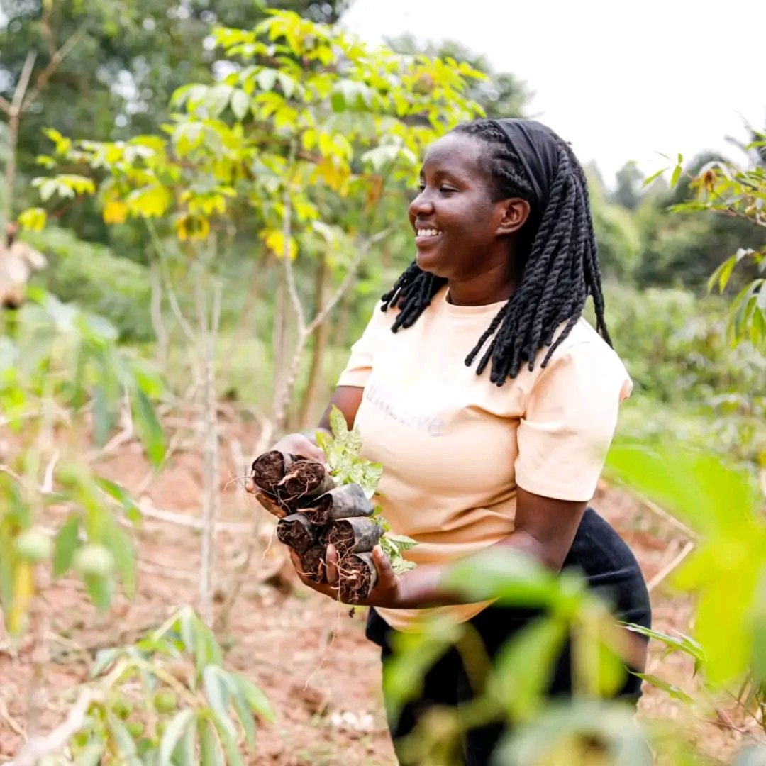 Nakyobe Daisy tweet media