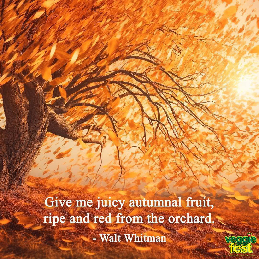 Veggie Fest Chicago tweet media