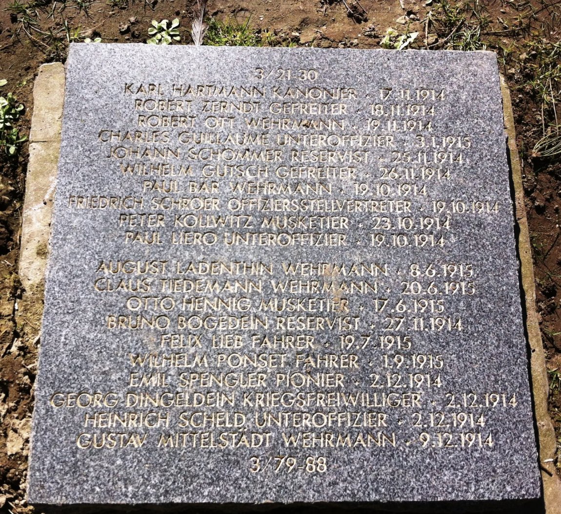 Amazonia - Kaua e tautohetohe ki nga riwai tweet media