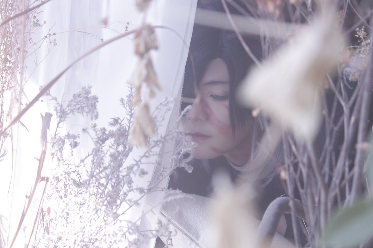 あおい☕️ tweet media