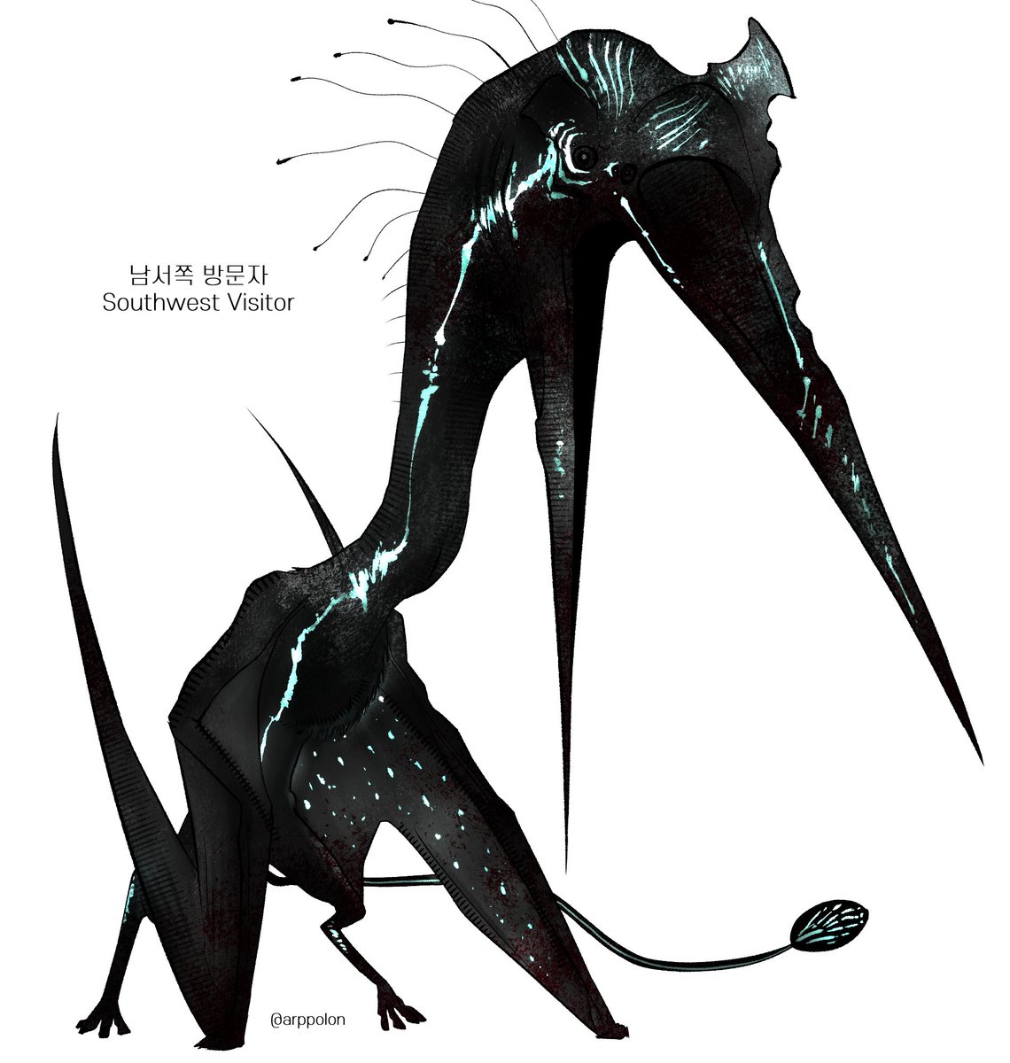 아폴🔅 tweet media