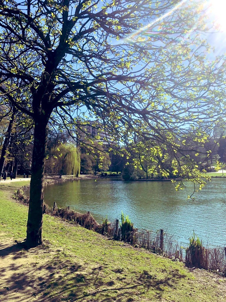 Sr. Carolyn tweet media