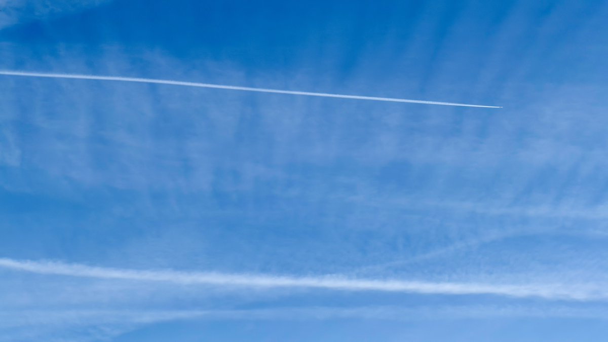 DJ Jordan tweet media