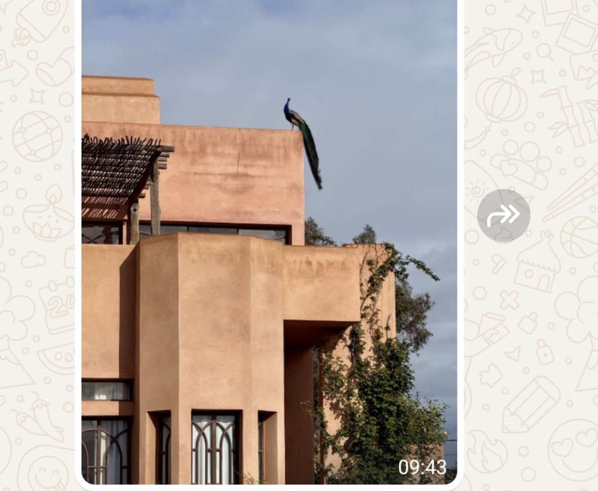 #MIGNONSZN ☄️ tweet media