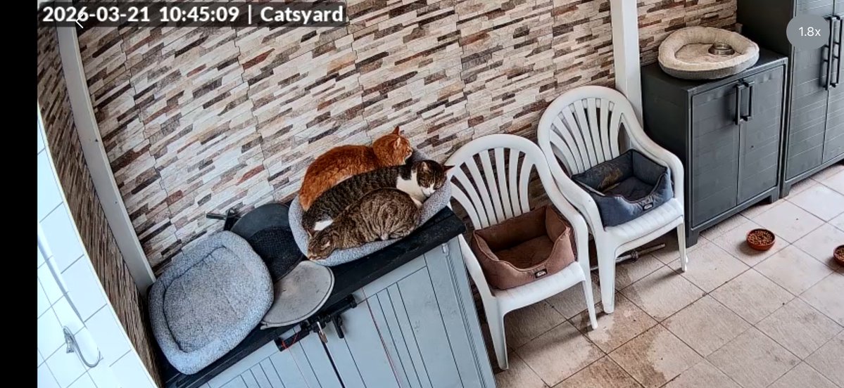 Anber 🇺🇦 tweet media