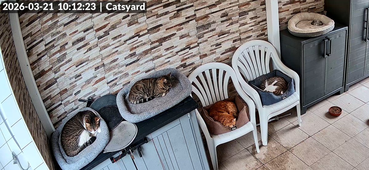 Anber 🇺🇦 tweet media