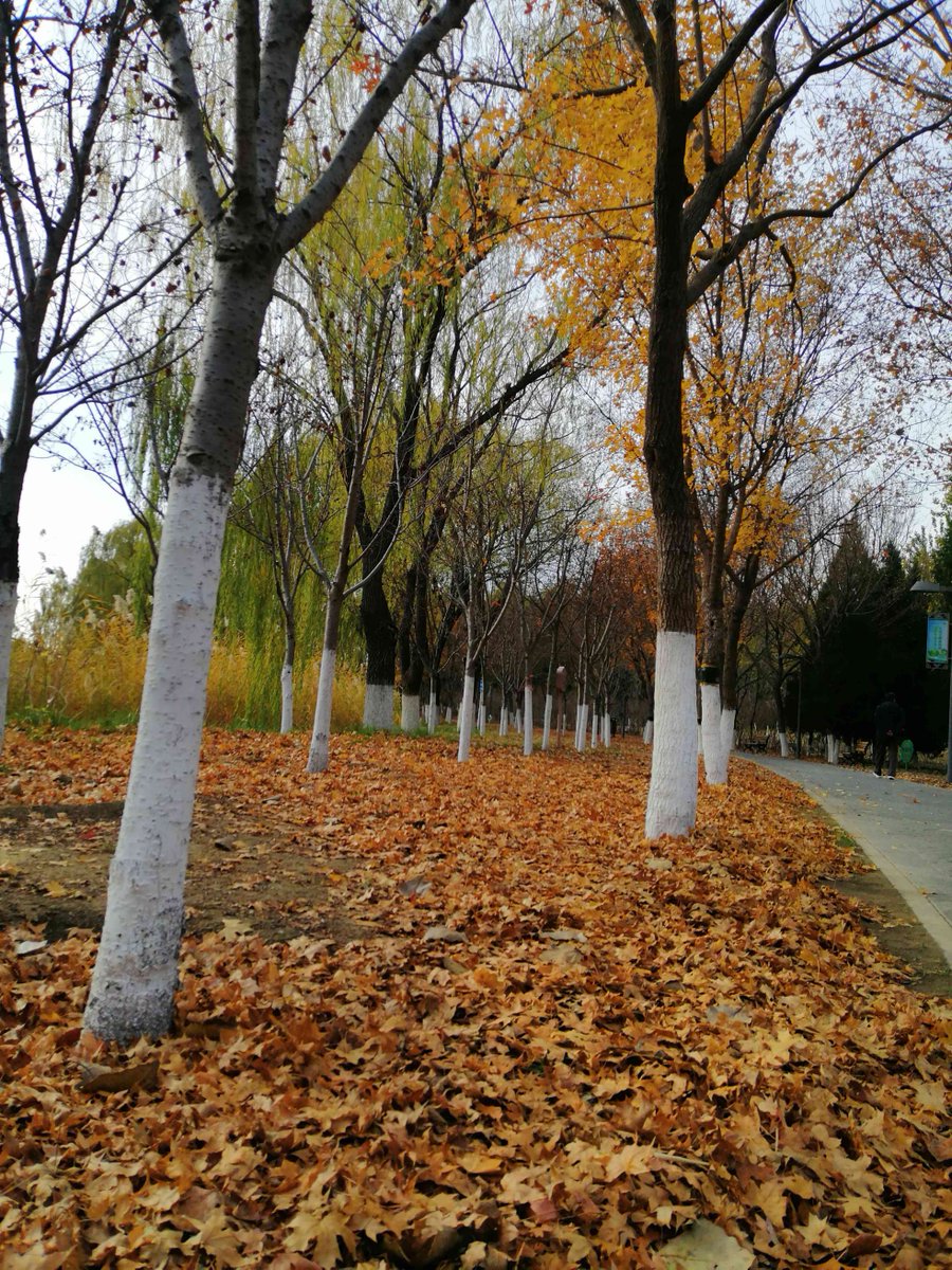 Роман Трищ tweet media