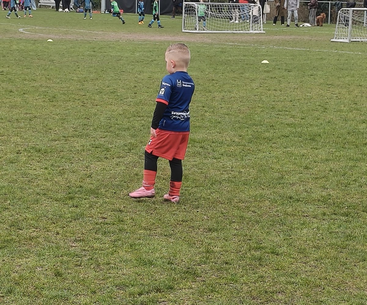 Selma Pekdemir tweet media