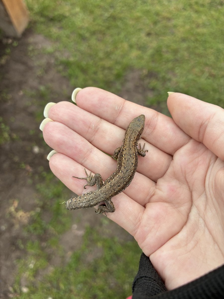 Elu Iluvatar tweet media