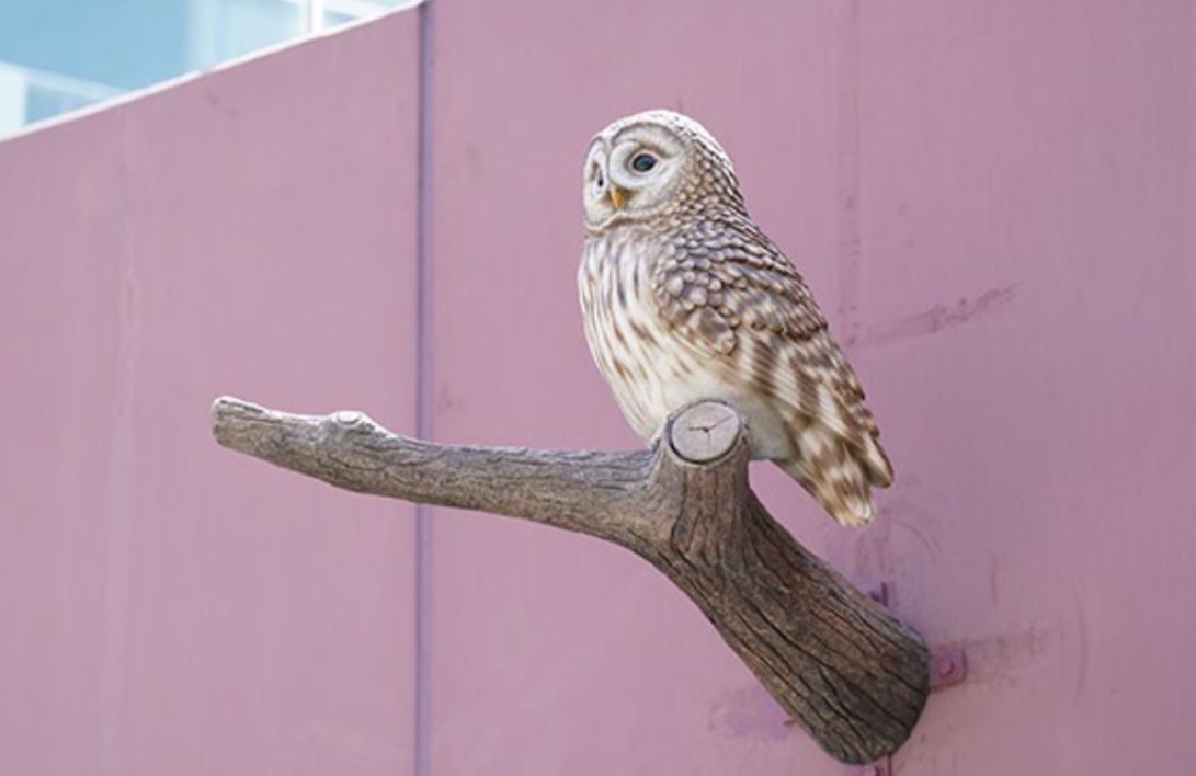 中国新聞カープ番記者 tweet media