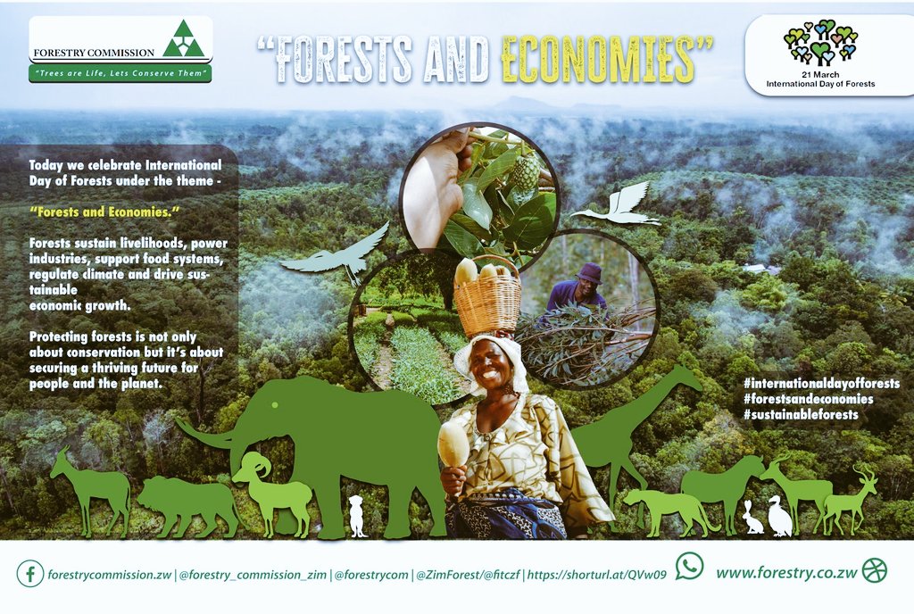 Forestry Commission Zimbabwe tweet media