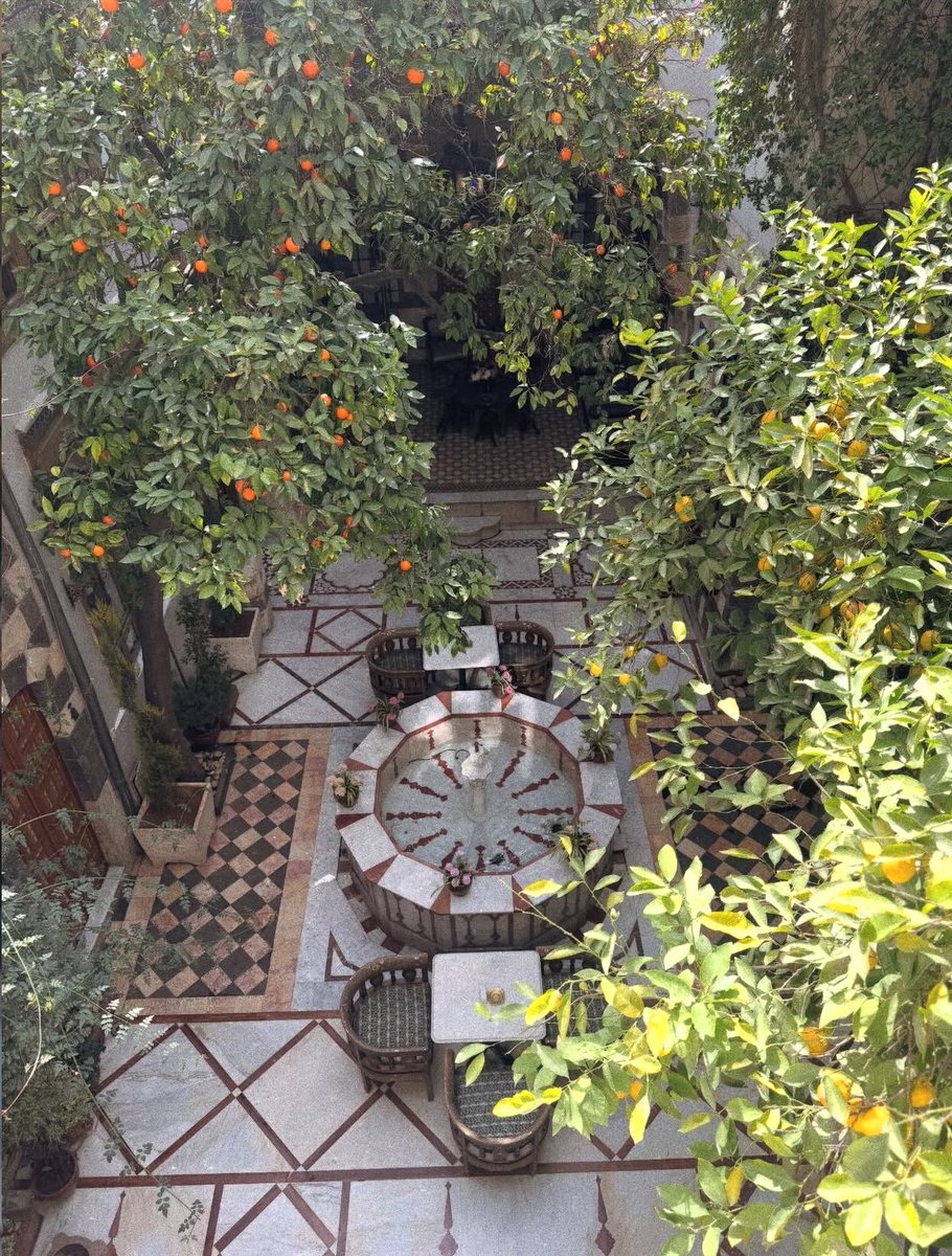 Syrian vibes tweet media