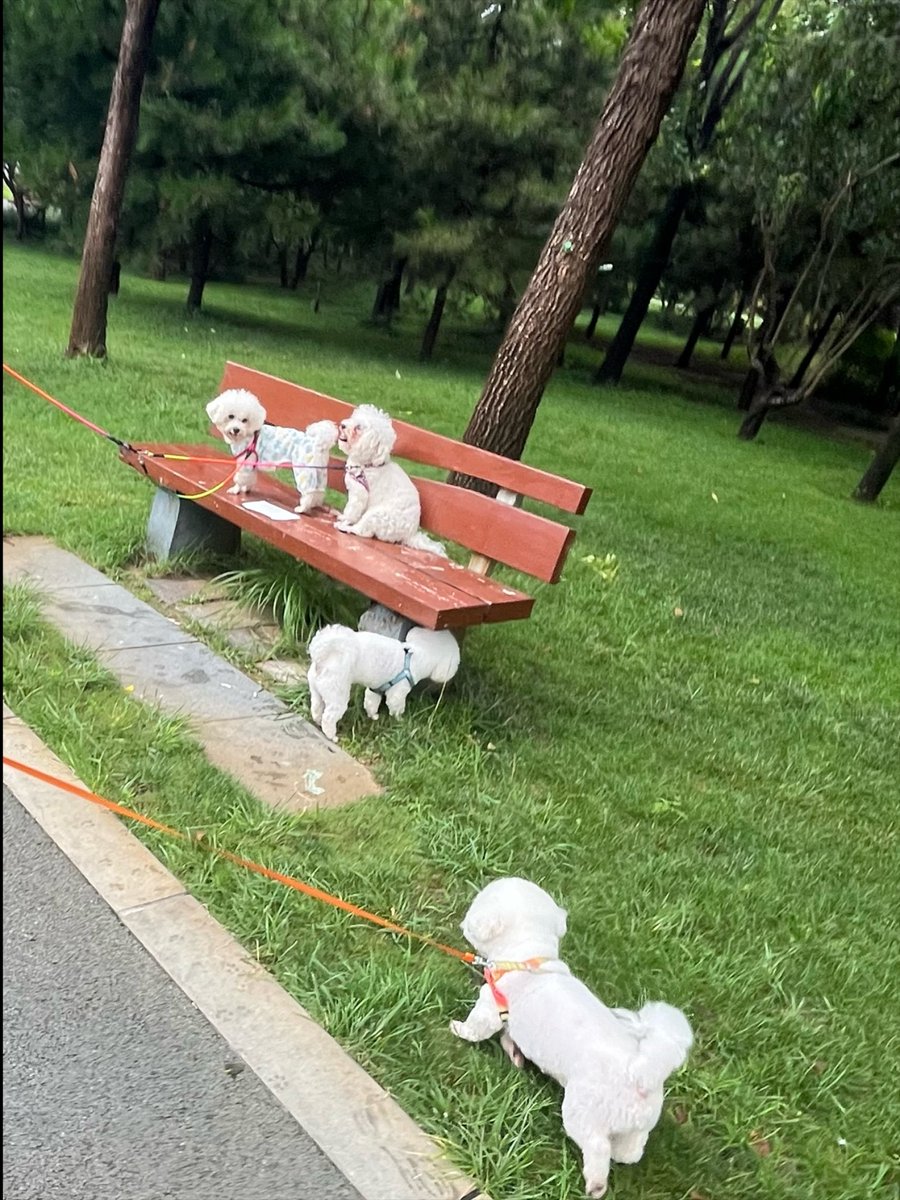 tata jessica tweet media