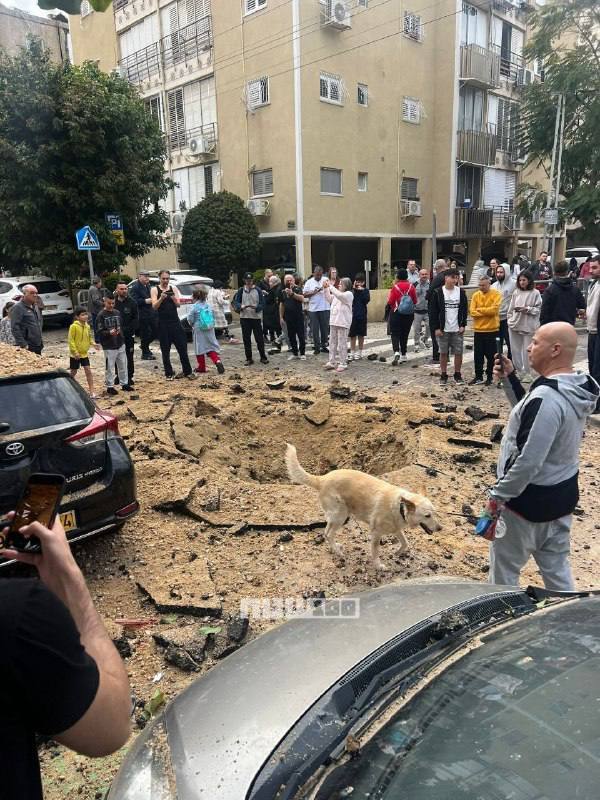 Jackson Hinkle 🇺🇸 tweet media