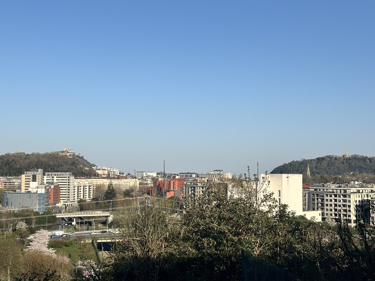 🍆Pardo tweet media