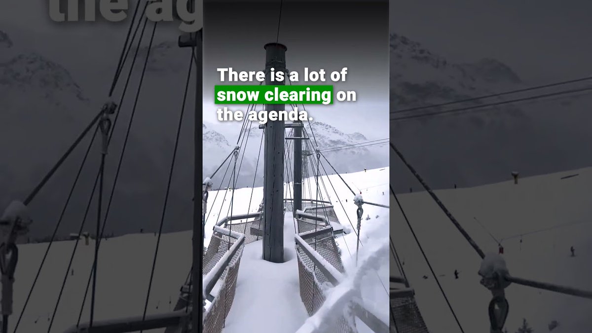 FOUR PAWS International tweet media